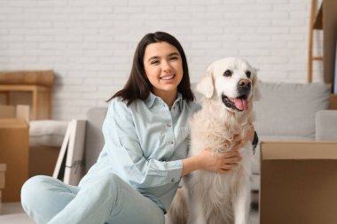 Genç, mutlu bir kadın ve taşınma gününde kutuları olan sevimli Labrador köpeği evde oturuyor.