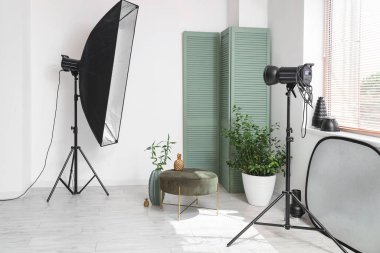 Profesyonel ekipman, katlama ekran, puf ve ev bitkisi olan fotoğraf stüdyosunun içi