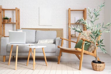 Gri kanepesi, koltuğu, kahve masası, dizüstü bilgisayarı ve zeytin ağacı olan güzel bir oturma odası.