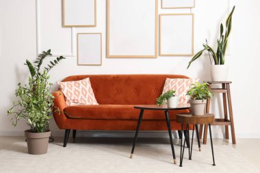 Turuncu kanepesi ve beyaz duvarın yanında bitkileri olan modern oturma odasının içinde.