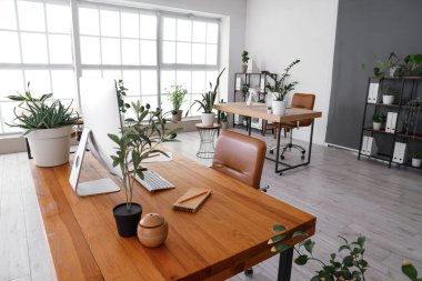 Ofis içi masalar, raf üniteleri ve yeşil bitkilerle