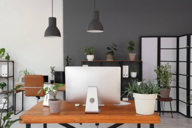 Ofisteki masasında yeşil bitkiler olan bilgisayar