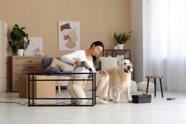 Evde matkapla mobilya toplayan sevimli köpeğiyle genç bir Afro-Amerikalı kadın.
