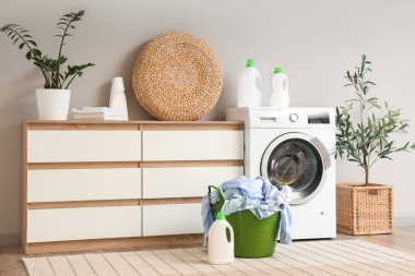 Çamaşır makinesi, çekmeceler, ev bitkileri ve giysili sepeti olan ev çamaşırhanesi.