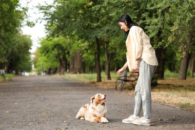 Tatlı Avustralya çoban köpeğini dışarıda eğiten genç bir kadın.