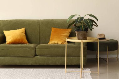 Yeşil kanepe, çiçekli kahve masası ve oturma odasının içi puf.