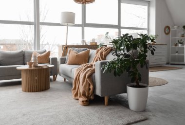 Oturma odası ve mutfağı olan şık bir stüdyo daire.