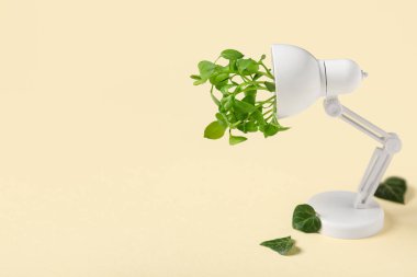 Bej arka planda yaprakları olan masa lambası. Yeşil teknoloji kavramı