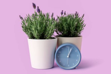 Lavantalı tencereler ve eflatun arka planda çalar saat.