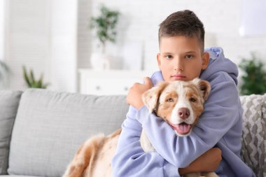 Genç çocuk kanepede oturuyor ve evde Avustralyalı çoban köpeğine sarılıyor.