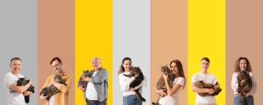 Renkli arka planda kedileri olan farklı insanların kolajı