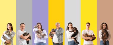 Renkli arka planda kedileri olan bir grup farklı insan.