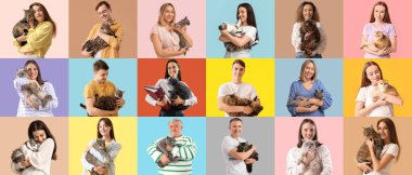 Renkli arka planda kedileri olan farklı insanların kolajı