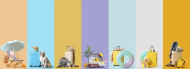 Renkli arka planda seyahat aksesuarları ve evcil hayvanlar