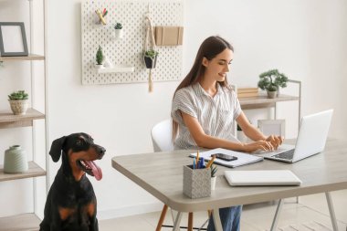 Tatlı Doberman köpeği ve evde dizüstü bilgisayarla çalışan güzel, genç ve mutlu bir kadın.