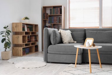 Modern gri kanepe ve oturma odasında bir sürü kitabı olan kitaplıklar.