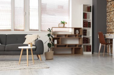 Modern gri kanepe ve oturma odasında kitaplar olan kitaplık.