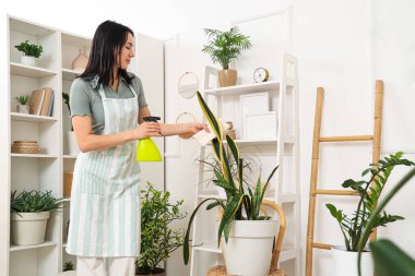 Paçavra ve spreyli güzel genç bir kadın evde temizlik yapıyor.