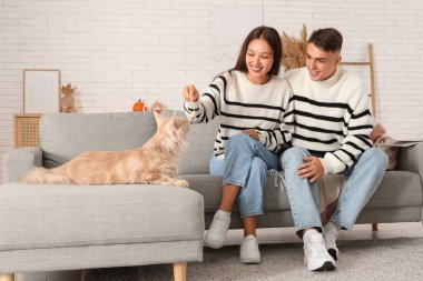 Oturma odasındaki kanepede oturan sevimli Maine Rakunu kedisiyle güzel genç bir çift.