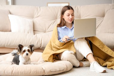 Evde sevimli Terrier köpeği olan dizüstü bilgisayarı kullanan genç bir kadın.