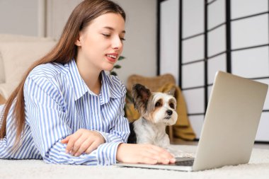 Evdeki halıda dizüstü bilgisayar kullanan sevimli Terrier köpeği olan genç bir kadın.