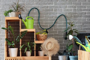 Bahçe aletleri ve atölyedeki gri tuğla duvarın yanında bitkiler olan raf ünitesi