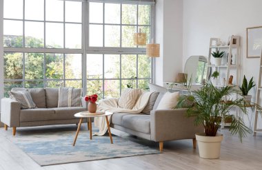 Gri koltukları, raf ünitesi ve bitkileri olan şık bir oturma odası.