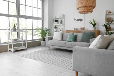 Gri koltukları, raf üniteleri ve bitkileri olan oturma odasının içinde.