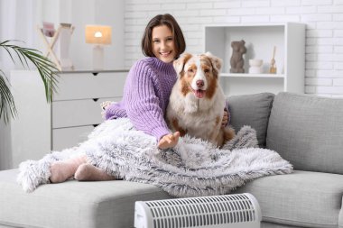 Battaniyeli genç bir kadın ve evdeki ısıtıcının yanındaki koltukta oturan Avustralyalı çoban köpeği.