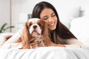 Güzel, genç bir kadın ve tatlı şövalye Kral Charles spaniel evde yatakta yatıyor.