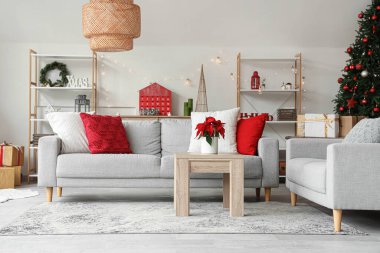 Masasında kanepeler, raf üniteleri ve Noel çiçekleri olan aydınlık oturma odasının içi.