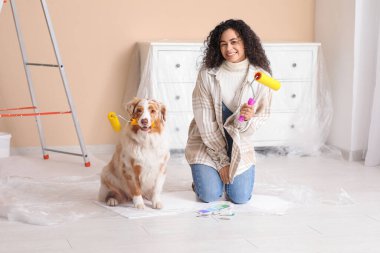 Yeni evdeki tamirat sırasında tatlı Avustralyalı çoban köpeği ve tekerlekli sandalyesi olan mutlu Afro-Amerikan ressam.