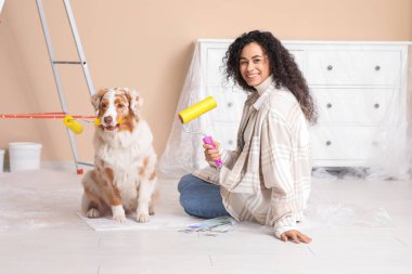 Yeni evdeki tamirat sırasında tatlı Avustralyalı çoban köpeği ve tekerlekli sandalyesi olan mutlu Afro-Amerikan ressam.