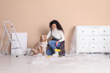 Yeni evdeki tamirat sırasında tatlı Avustralyalı çoban köpeği ve tekerlekli sandalyesi olan mutlu Afro-Amerikalı kadın ressam.