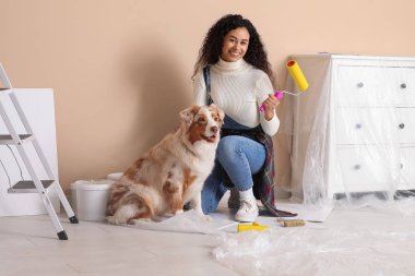 Yeni evdeki tamirat sırasında tatlı Avustralyalı çoban köpeği ve tekerlekli sandalyesi olan mutlu Afro-Amerikalı kadın ressam.