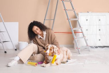 Yeni evdeki tamirat sırasında tatlı Avustralyalı çoban köpeği ve bigudili mutlu Afro-Amerikan ressam.