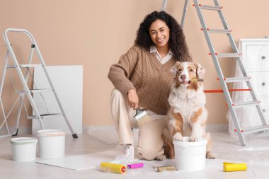 Fırçalı ve şirin Avustralyalı çoban köpeği olan mutlu Afro-Amerikalı ressam yeni evdeki tamirat sırasında oturuyor.