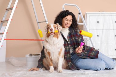 Yeni evdeki tamirat sırasında tatlı Avustralyalı çoban köpeği ve bigudili mutlu Afro-Amerikan ressam.
