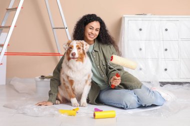 Yeni evdeki tamirat sırasında tatlı Avustralyalı çoban köpeği ve bigudili mutlu Afro-Amerikan ressam.