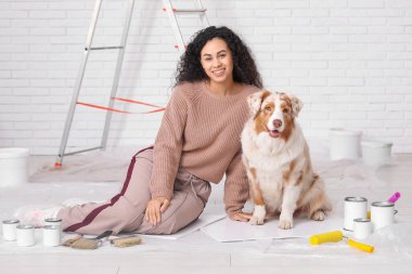 Aletleri olan mutlu Afro-Amerikalı kadın ressam ve yeni evdeki tamirat sırasında oturan sevimli Avustralyalı çoban köpeği.