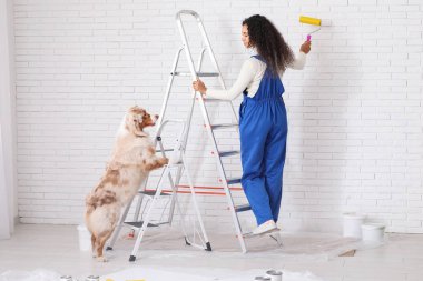 Memlekette tamirat sırasında tekerlekli paten ve şirin Avustralya çoban köpeği boyası olan mutlu Afro-Amerikan ressam kadın.
