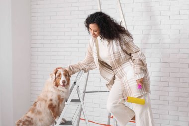 Yeni evdeki tamirat sırasında tekerlekli sandalyesi ve şirin Avustralyalı çoban köpeği olan mutlu Afro-Amerikan ressam kadın.