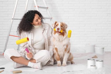 Yeni evdeki tamirat sırasında tatlı Avustralyalı çoban köpeği ve bigudili mutlu Afro-Amerikan ressam.
