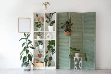 Yeşil bitkilerle, katlanır ekran ve raf ünitesiyle aydınlatma odasının içi
