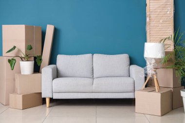 Gri kanepeli karton kutular, katlanan ekran ve taşınma gününde oturma odasındaki mavi duvarın yanındaki ev bitkileri.