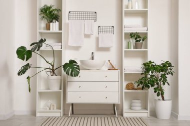 Modern lavabonun yanındaki raflarda ev bitkileri, kozmetik ürünleri ve temiz havlular var.