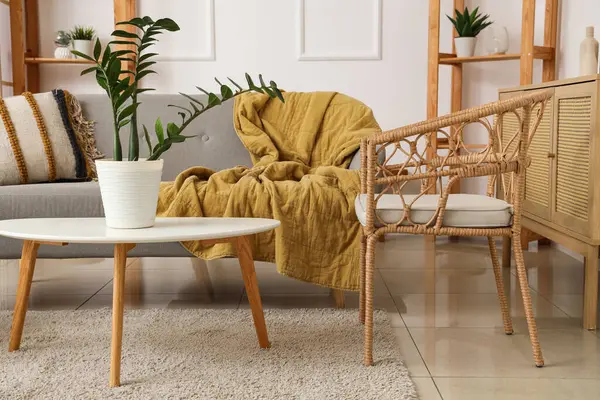 Rahat koltuğu, gri kanepesi ve sehpası olan şık bir oturma odası.