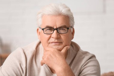 Evdeki yakışıklı yaşlı adamın portresi.