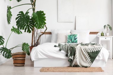 Modern yatak odasının içindeki Monstera bitkileri.