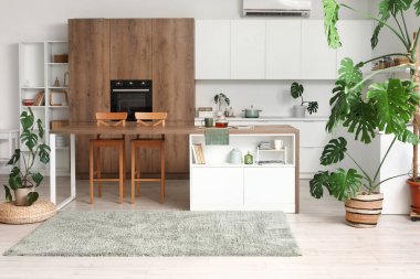 Monstera ev bitkileriyle modern mutfağın içinde.